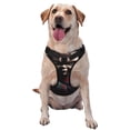 thumbnail image 1 of Lsque Chucky Dog Harness, No-Pull Pet Harness with 2 Leash Clips, Adjustable Soft Padded Dog Vest with Easy Control Handle for Large Dogs-Large, 1 of 9