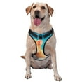 thumbnail image 1 of Lsque Cloud Cute Hamster Dog Harness, No-Pull Pet Harness with 2 Leash Clips, Adjustable Soft Padded Dog Vest with Easy Control Handle for Large Dogs-X-Large, 1 of 9