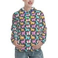 thumbnail image 1 of Lsque Colorful Alpaca Pattern Casual Women's Hoodie,Hooded Sweatshirt with Kangaroo Pocket,Pullover Hoodie with Eye-catching Drawstrings-Medium, 1 of 7