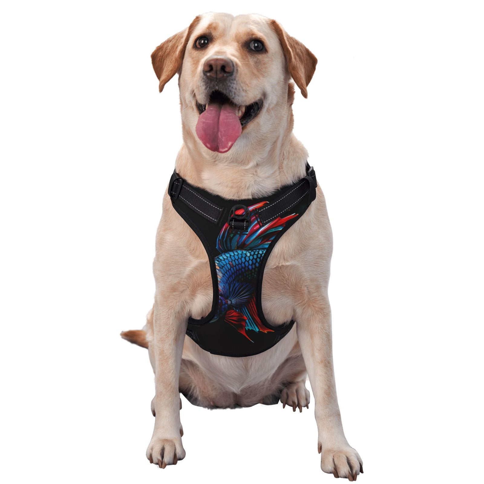 Lsque Colorful Betta Fish Dog Harness, NoPull Pet Harness with 2 Leash