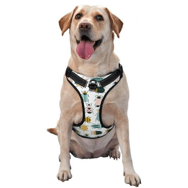 Lsque Colorful Insects Dog Harness, No-Pull Pet Harness with 2 Leash Clips, Adjustable Soft Padded Dog Vest with Easy Control Handle for Large Dogs-Small