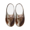 thumbnail image 1 of Lsque Cow With Butterflies Pattern Womens Comfort Cotton on Scuff With Memory Foam and Anti-skid Sole Slipper-39/40, 1 of 7