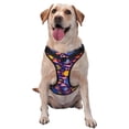 thumbnail image 1 of Lsque Cute Flat Hand Drawn Fishes Dog Harness, No-Pull Pet Harness with 2 Leash Clips, Adjustable Soft Padded Dog Vest with Easy Control Handle for Large Dogs-Small, 1 of 9
