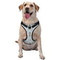 thumbnail image 1 of Lsque Cute Snowflake Dachshund Dog Harness, No-Pull Pet Harness with 2 Leash Clips, Adjustable Soft Padded Dog Vest with Easy Control Handle for Large Dogs-, 1 of 9