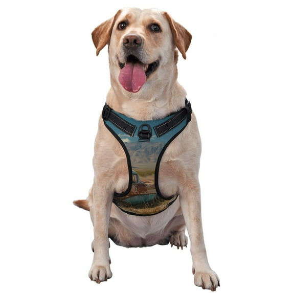 Lsque Deserted Classic Car Landscape Dog Harness, No-Pull Pet Harness with 2 Leash Clips, Adjustable Soft Padded Dog Vest with Easy Control Handle for Large Dogs-Medium