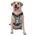 thumbnail image 1 of Lsque Flower Crown White Horse Dog Harness, No-Pull Pet Harness with 2 Leash Clips, Adjustable Soft Padded Dog Vest with Easy Control Handle for Large Dogs-Large, 1 of 9