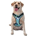 thumbnail image 1 of Lsque Flying Swallows Dog Harness, No-Pull Pet Harness with 2 Leash Clips, Adjustable Soft Padded Dog Vest with Easy Control Handle for Large Dogs-Small, 1 of 9