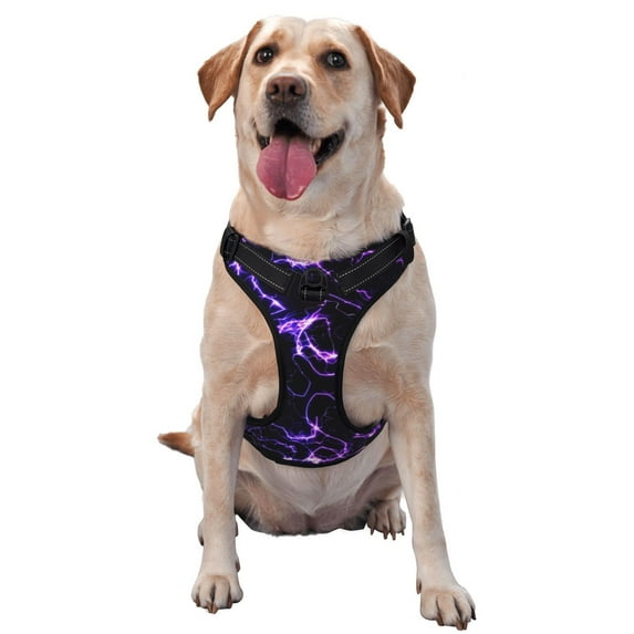 Lsque Galaxy Lightning Dog Harness, No-Pull Pet Harness with 2 Leash Clips, Adjustable Soft Padded Dog Vest with Easy Control Handle for Large Dogs-Medium