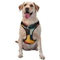 thumbnail image 1 of Lsque Geometric Cube Pattern Art Dog Harness, No-Pull Pet Harness with 2 Leash Clips, Adjustable Soft Padded Dog Vest with Easy Control Handle for Large Dogs-Small, 1 of 9