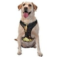 Lsque Golden Sky Bald Eagle Dog Harness, NoPull Pet Harness with 2