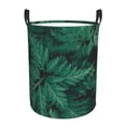 thumbnail image 1 of Lsque Green Leave Fern Pattern Laundry Hamper Basket, Tall Woven Rope Hamper Basket for Clothes, Lightweight Storage Basket, Collapsible Waterproof-, 1 of 6