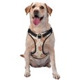 thumbnail image 1 of Lsque Groovy Disco Pumpkin Dog Harness, No-Pull Pet Harness with 2 Leash Clips, Adjustable Soft Padded Dog Vest with Easy Control Handle for Large Dogs-Large, 1 of 9