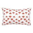 thumbnail image 1 of Lsque Hand Drawn Watermelon Pattern Pillow Case – Soft & Cozy Throw Pillow Cover, Hypoallergenic Cushion Case for Sleeping Women with Envelope Closure-14"x20", 1 of 6