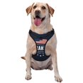 thumbnail image 1 of Lsque Happy Veterans Day Dog Harness, No-Pull Pet Harness with 2 Leash Clips, Adjustable Soft Padded Dog Vest with Easy Control Handle for Large Dogs-Medium, 1 of 9
