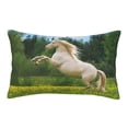 thumbnail image 1 of Lsque Horse Rearing Up In The Field Pattern Pillow Case – Soft & Cozy Throw Pillow Cover, Hypoallergenic Cushion Case for Sleeping Women with Envelope Closure-20"x30", 1 of 6