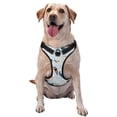 thumbnail image 1 of Lsque Japanese Carps Dog Harness, No-Pull Pet Harness with 2 Leash Clips, Adjustable Soft Padded Dog Vest with Easy Control Handle for Large Dogs-Medium, 1 of 1