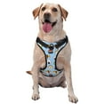 thumbnail image 1 of Lsque Kawaii Sushi Dog Harness, No-Pull Pet Harness with 2 Leash Clips, Adjustable Soft Padded Dog Vest with Easy Control Handle for Large Dogs-Small, 1 of 9