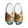thumbnail image 1 of Lsque Lazy Home Style Guinea Pig Pattern Womens Comfort Cotton on Scuff With Memory Foam and Anti-skid Sole Slipper-40/41, 1 of 7