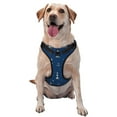 thumbnail image 1 of Lsque Lighthouses and Anchors Dog Harness, No-Pull Pet Harness with 2 Leash Clips, Adjustable Soft Padded Dog Vest with Easy Control Handle for Large Dogs-Medium, 1 of 9