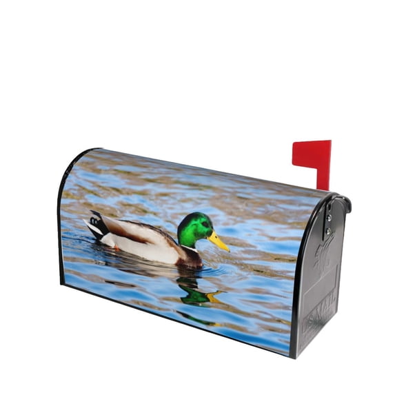Lsque Mallard Duck Swimming In A River Mailbox Cover Standard Size ,Magnetic Mailbox Covers Post Wraps Letter Box Cover -21x18 in