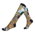thumbnail image 1 of Lsque Mallard Ducks Pattern Sport Compression Socks for Men & Women 15-20 mmHg Knee High Nurse Pregnant Running Medical and Travel Athletic, 1 of 6