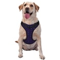 thumbnail image 1 of Lsque Mathematical Symbols Dog Harness, No-Pull Pet Harness with 2 Leash Clips, Adjustable Soft Padded Dog Vest with Easy Control Handle for Large Dogs-Medium, 1 of 9