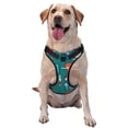thumbnail image 1 of Lsque Medical Elements Dog Harness, No-Pull Pet Harness with 2 Leash Clips, Adjustable Soft Padded Dog Vest with Easy Control Handle for Large Dogs-Large, 1 of 9