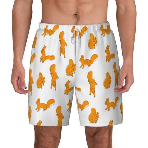 Lsque Mens Swim Trunks Cartoon Squirrel Pattern - Bathing Suit Compression Liner - Beach Swim Shorts Swimwear - (S-3XL) - Stretch Quick Dry -Large
