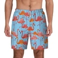 thumbnail image 1 of Lsque Mens Swim Trunks Flamingo Pattern - Bathing Suit Compression Liner - Beach Swim Shorts Swimwear - (S-3XL) - Stretch Quick Dry -XX-Large, 1 of 9