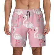 Lsque Mens Swim Trunks Pink Flamingo Pattern - Bathing Suit Compression Liner - Beach Swim Shorts Swimwear - (S-3XL) - Stretch Quick Dry -X-Large