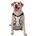 thumbnail image 1 of Lsque Music Lover Dinosaur Dog Harness, No-Pull Pet Harness with 2 Leash Clips, Adjustable Soft Padded Dog Vest with Easy Control Handle for Large Dogs-X-Large, 1 of 9