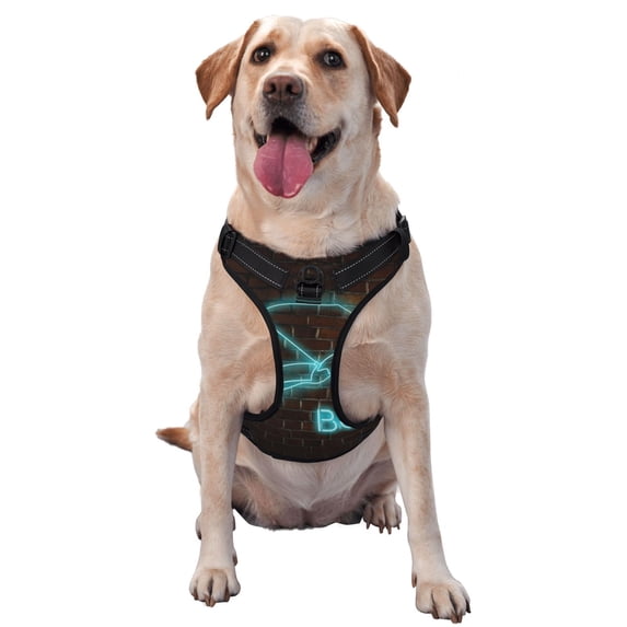 Lsque Neon Sign For Books Dog Harness, No-Pull Pet Harness with 2 Leash Clips, Adjustable Soft Padded Dog Vest with Easy Control Handle for Large Dogs-X-Large