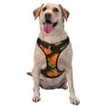 thumbnail image 1 of Lsque Orange Pumpkin Dog Harness, No-Pull Pet Harness with 2 Leash Clips, Adjustable Soft Padded Dog Vest with Easy Control Handle for Large Dogs-Medium, 1 of 9