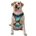 thumbnail image 1 of Lsque Paradise Island Dog Harness, No-Pull Pet Harness with 2 Leash Clips, Adjustable Soft Padded Dog Vest with Easy Control Handle for Large Dogs-Large, 1 of 9