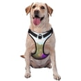 thumbnail image 1 of Lsque Pikmin Dog Harness, No-Pull Pet Harness with 2 Leash Clips, Adjustable Soft Padded Dog Vest with Easy Control Handle for Large Dogs-Large, 1 of 9