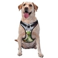 thumbnail image 1 of Lsque Pikmin Dog Harness, No-Pull Pet Harness with 2 Leash Clips, Adjustable Soft Padded Dog Vest with Easy Control Handle for Large Dogs-Small, 1 of 9