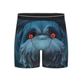 thumbnail image 1 of Lsque Pikmin Pattern Men's Performance Stretch Underwear, Athletic Long Leg Briefs，Moisture-Wicking-X-Large, 1 of 6
