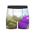 thumbnail image 1 of Lsque Pikmin Pattern Men's Performance Stretch Underwear, Athletic Long Leg Briefs，Moisture-Wicking-XX-Large, 1 of 6