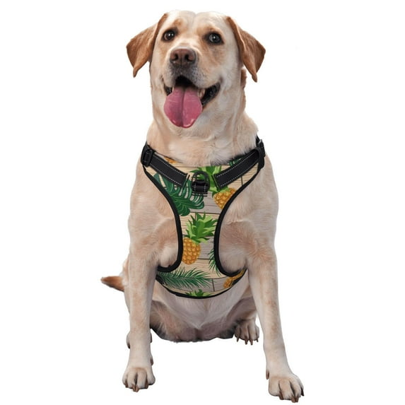 Lsque Pineapples Palm Leaves Dog Harness, No-Pull Pet Harness with 2 Leash Clips, Adjustable Soft Padded Dog Vest with Easy Control Handle for Large Dogs-Medium