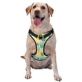 thumbnail image 1 of Lsque Pineapples1 Dog Harness, No-Pull Pet Harness with 2 Leash Clips, Adjustable Soft Padded Dog Vest with Easy Control Handle for Large Dogs-X-Large, 1 of 9