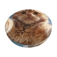 thumbnail image 1 of Lsque Playful Cat Fisheye View Pattern Round Bar chair cushion covers Velvet Fabric Premium Comfort Protects from Scratches and Stains for 14-17 Inch Chair-13 inch, 1 of 7