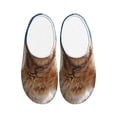 thumbnail image 1 of Lsque Playful Cat Fisheye View Pattern Womens Comfort Cotton on Scuff With Memory Foam and Anti-skid Sole Slipper-35/36, 1 of 7