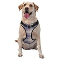 thumbnail image 1 of Lsque Purple Floral Gingham Check Plaid Dog Harness, No-Pull Pet Harness with 2 Leash Clips, Adjustable Soft Padded Dog Vest with Easy Control Handle for Large Dogs-X-Large, 1 of 9