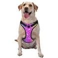 thumbnail image 1 of Lsque Rainbow Scales2 Dog Harness, No-Pull Pet Harness with 2 Leash Clips, Adjustable Soft Padded Dog Vest with Easy Control Handle for Large Dogs-Small, 1 of 9