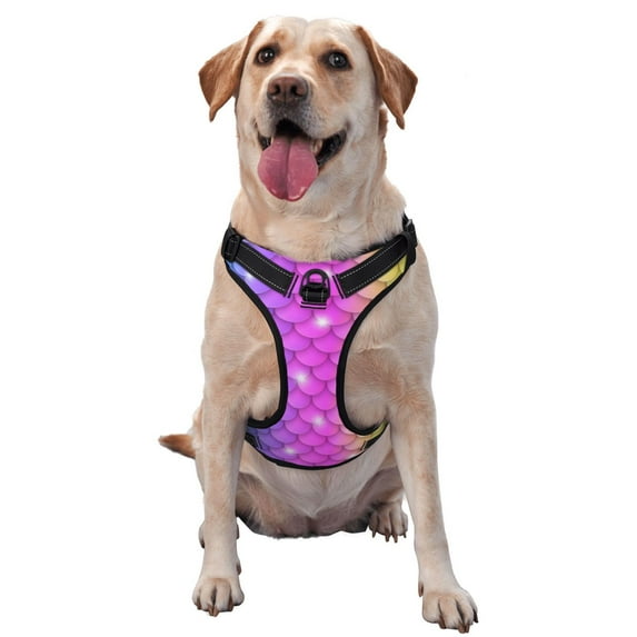 Lsque Rainbow Scales2 Dog Harness, No-Pull Pet Harness with 2 Leash Clips, Adjustable Soft Padded Dog Vest with Easy Control Handle for Large Dogs-Small