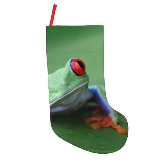 Lsque Red-Eyed Tree Frog-1 Pattern 18 Inch Christmas Stockings, Festive Holiday Stocking for Christmas Decorations Holiday Decor