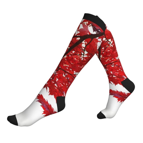 Lsque Red Maple Leaf Pattern Sport Compression Socks for Men & Women 15-20 mmHg Knee High Nurse Pregnant Running Medical and Travel Athletic