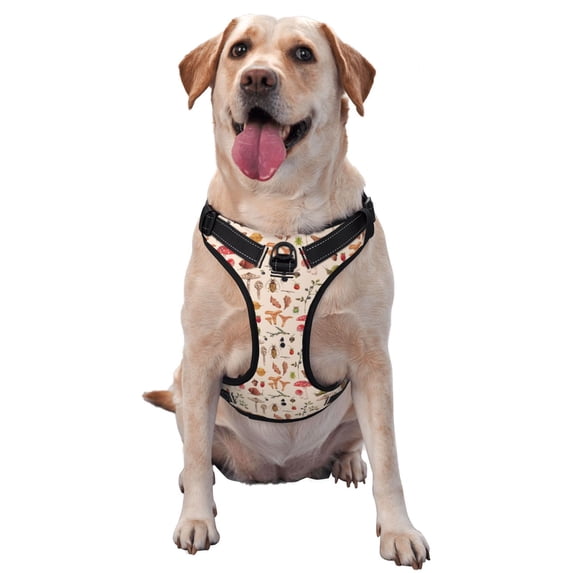 Lsque Retro Autum Mushrooms Dog Harness, No-Pull Pet Harness with 2 Leash Clips, Adjustable Soft Padded Dog Vest with Easy Control Handle for Large Dogs-Small
