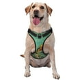 thumbnail image 1 of Lsque Retro Birds Dog Harness, No-Pull Pet Harness with 2 Leash Clips, Adjustable Soft Padded Dog Vest with Easy Control Handle for Large Dogs-Medium, 1 of 9