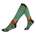 thumbnail image 1 of Lsque Retro Birds Pattern Sport Compression Socks for Men & Women 15-20 mmHg Knee High Nurse Pregnant Running Medical and Travel Athletic, 1 of 6
